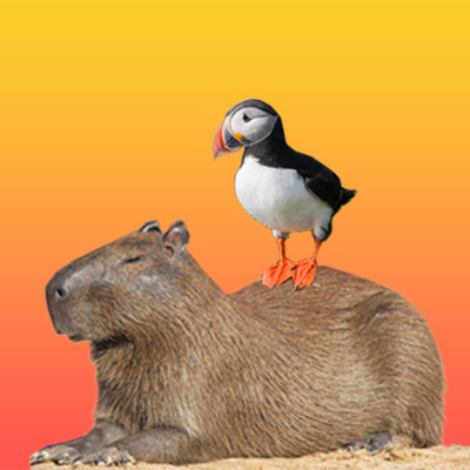 Bearcraft Jul25 Banner square